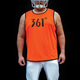 Illustration for article titled Year of the Pigskin